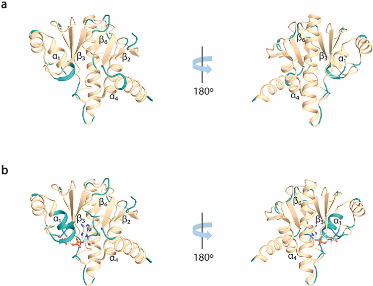 1H, 13C and 15N chemical shift assignments of Rubella virus macro domain in the free and in the ADPr bound state
