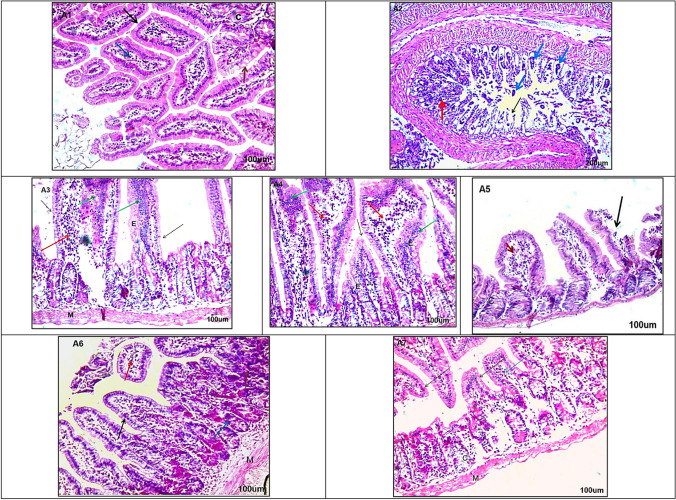 Ameliorative Effects of Blue LED Irradiated and Non-Irradiated Fenugreek Seed Extracts on Murine Trichinosis