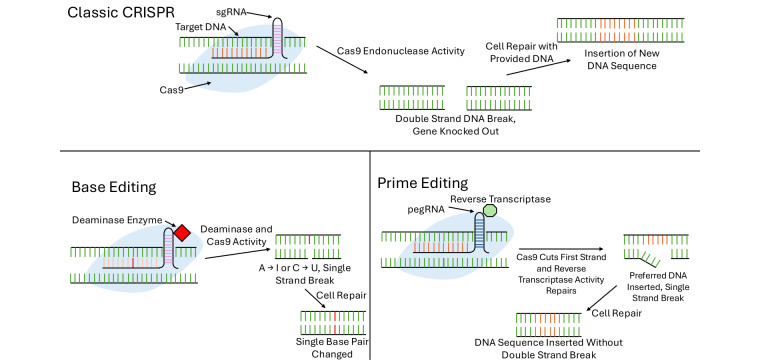 Osteosarcoma: current insights and advances.