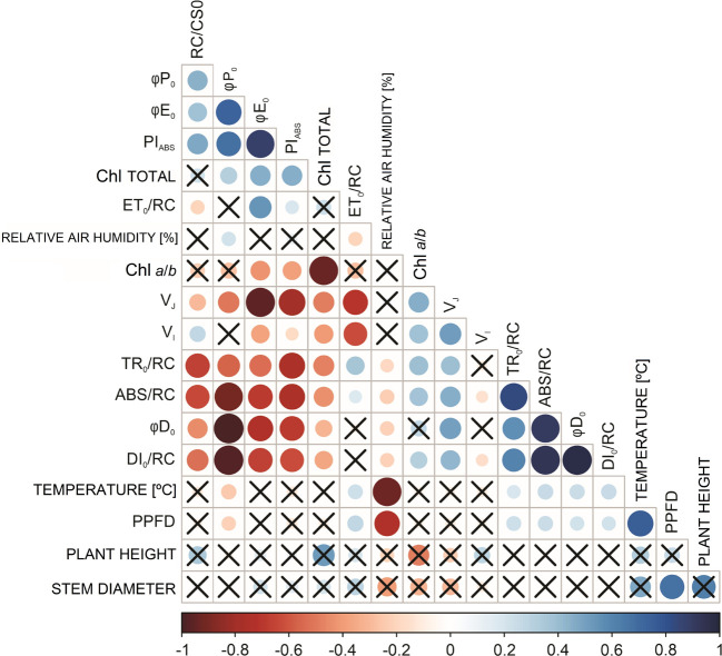 Green manure can be an auxiliary factor against dynamic photoinhibition in <i>Dalbergia ecastophyllum</i> (L.) young trees in areas impacted by mining.
