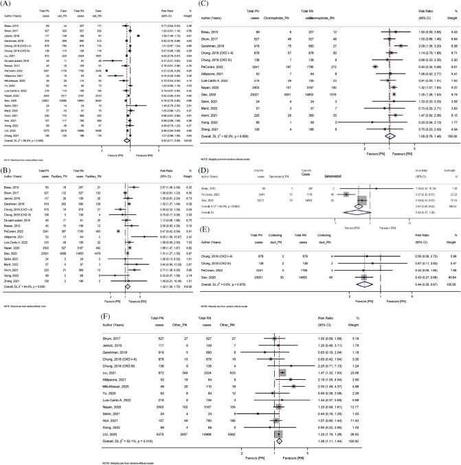 Surgical Strategies in Renal Cancer: A Meta-analysis of Partial vs. Radical Nephrectomy Outcomes Across Tumor Stages.