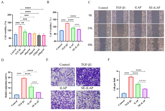 Correction: F127-SE-tLAP thermosensitive hydrogel alleviates bleomycin-induced skin fibrosis via TGF-β/Smad pathway.
