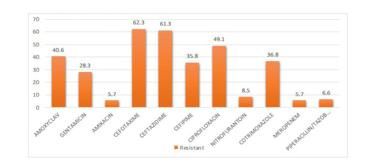 Phenotypic, genotypic characterization and antimicrobial resistance profiling of uropathogenic <i>Escherichia coli</i> in a tertiary care hospital, Puducherry, India.