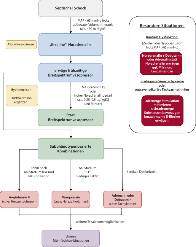 [Vasoactive agents in septic shock-individualized strategies].
