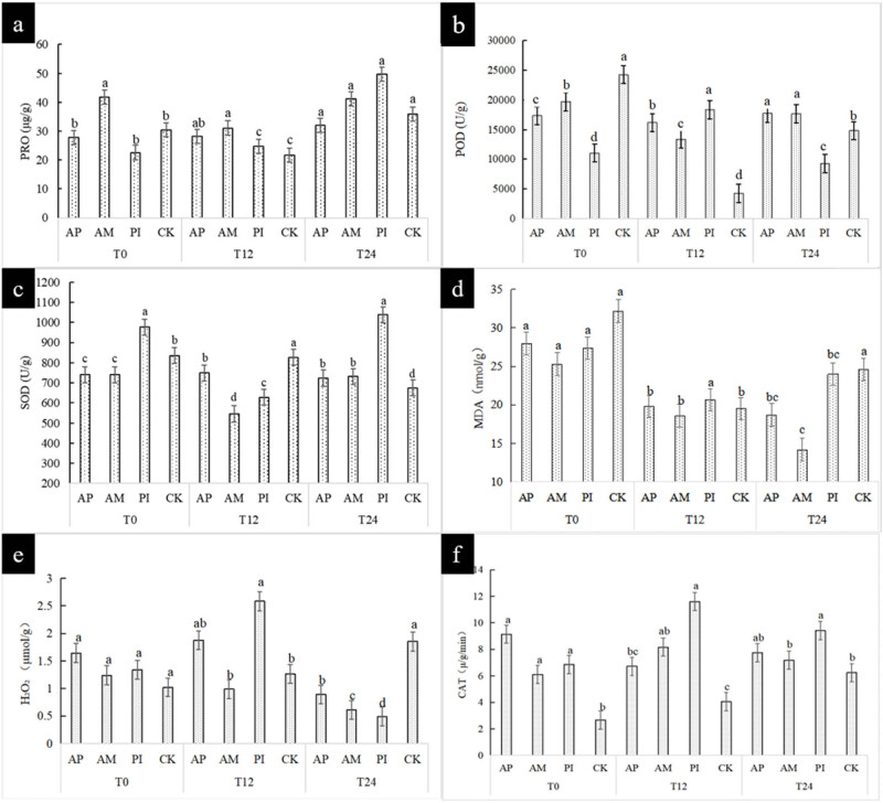 Effects of <i>Piriformospora indica</i> and arbuscular mycorrhizal fungus on growth and physiology of <i>Moringa oleifera</i> under low-temperature stress.