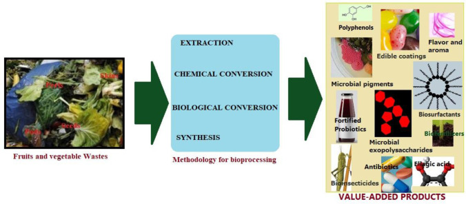 Beyond enzymes and organic acids, solid-state fermentation as an alternative for valorizing fruits and vegetable wastes into novel bio-products in a circular economy: A critical review.