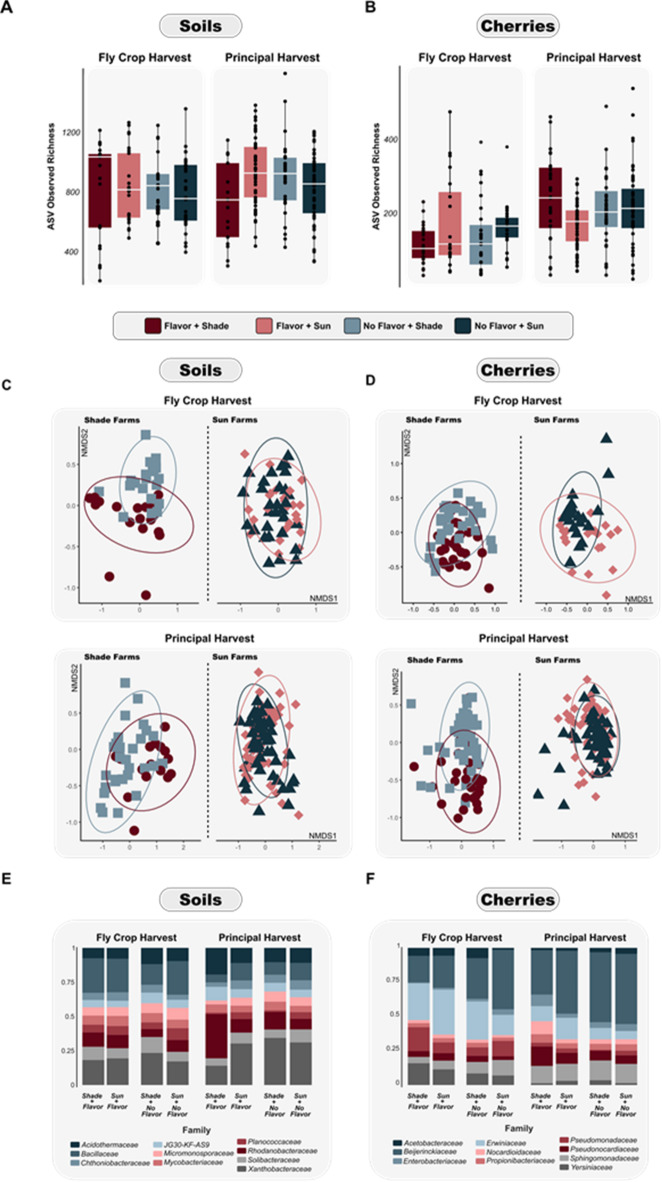 Soil and cherry bacterial communities predict flavor on coffee farms.