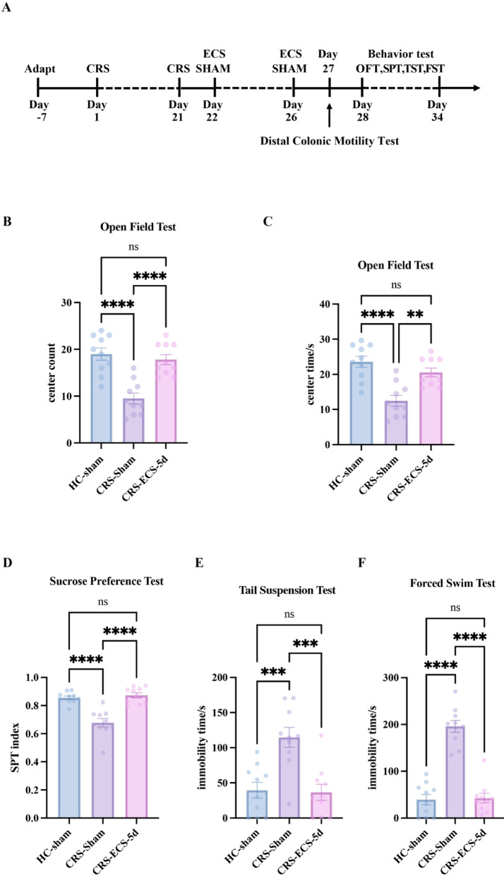 Electroconvulsive therapy improves distal colonic motility via the subdiaphragmatic vagus nerve in depressive-like mice.