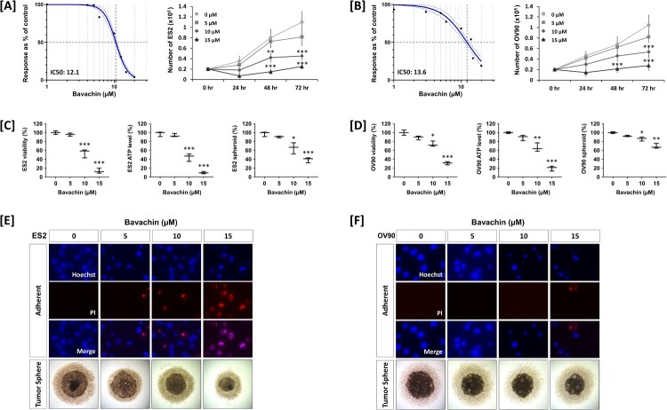 Bavachin enhances paclitaxel sensitivity in ovarian cancer cells through modulation of mitochondrial function and ER stress.