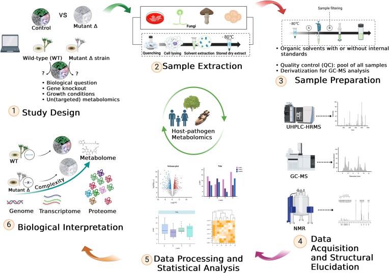 Stepping out of the dark: how metabolomics shed light on fungal biology.