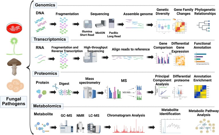 Stepping out of the dark: how metabolomics shed light on fungal biology.