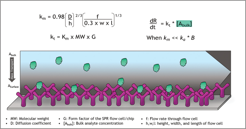 The case for calibration-free concentration analysis.