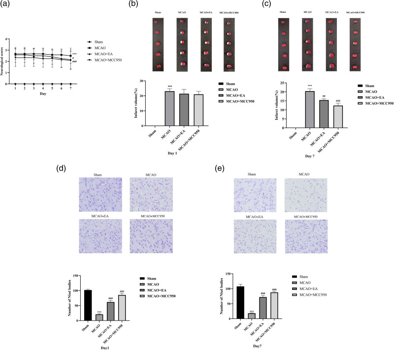 Effects of electroacupuncture on neural function and the expression of inflammation-related proteins NLRP3/caspase-1 in rats with ischemic stroke.