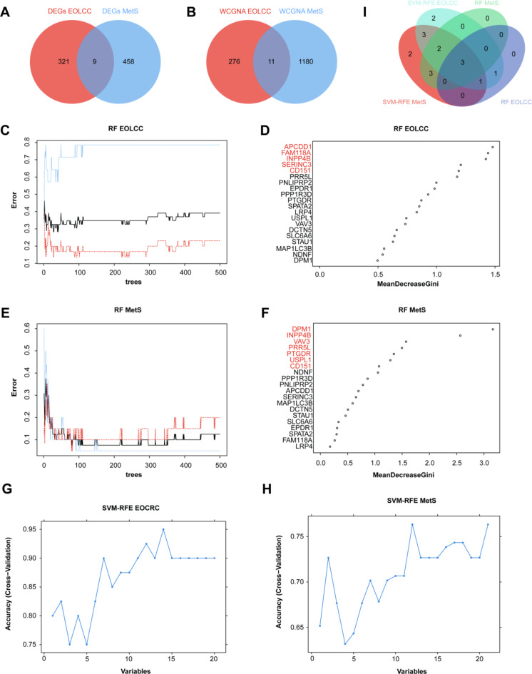 Integrated muti-omics data and machine learning reveal CD151 as a key biomarker inducing chemoresistance in metabolic syndrome-related early-onset left-sided colorectal cancer.
