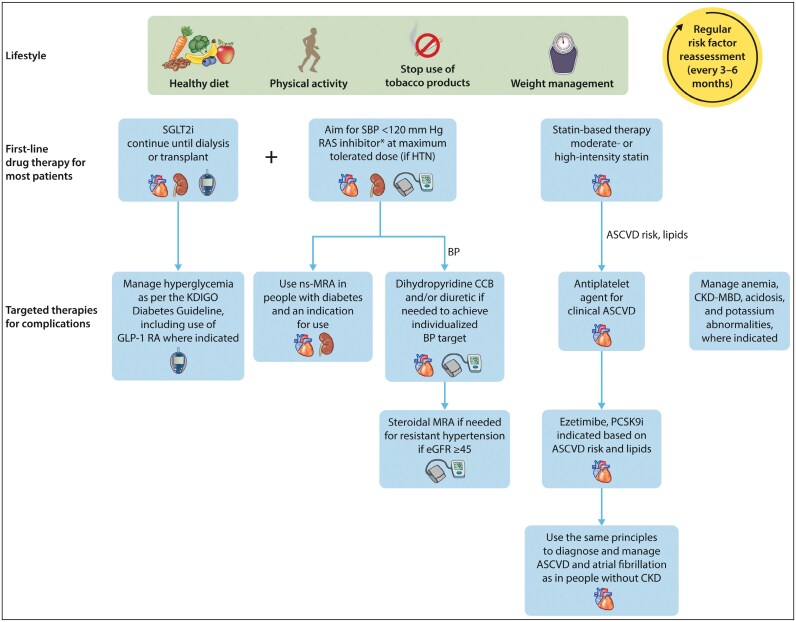 KDIGO 2024 clinical practice guideline on evaluation and management of chronic kidney disease: A primer on what pharmacists need to know.