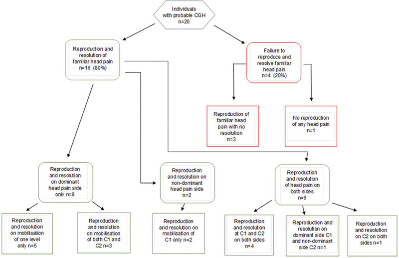 Head Pain Reproduction and Resolution Behavior in Response to Sustained Mobilization of the Upper Cervical Spine: A Case Series.