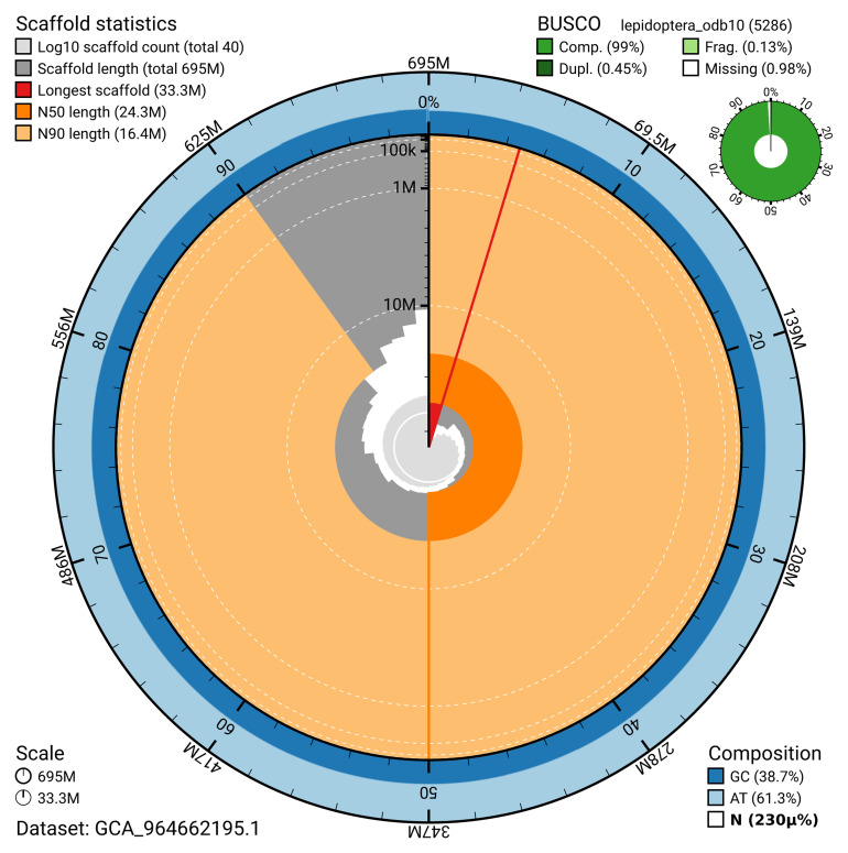 The genome sequence of the Small Dotted Buff moth, <i>Photedes minima</i> Haworth, 1809.