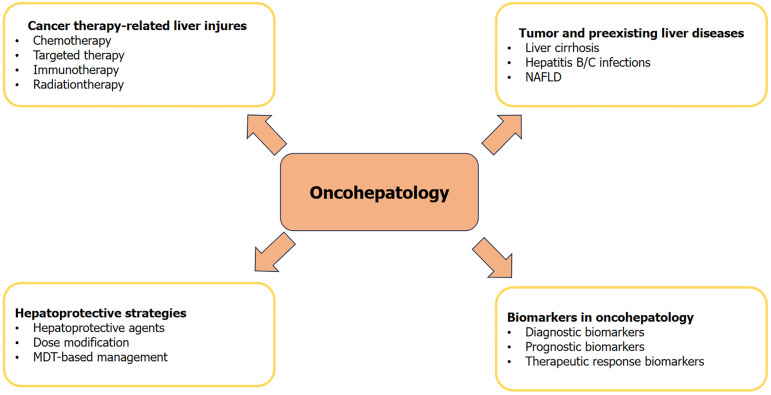 Oncohepatology: Navigating liver injury in the era of modern cancer therapy.