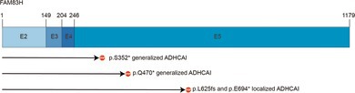 Identifying a Novel Causal FAM83H Variant for Autosomal Dominant Amelogenesis Imperfecta Using Exome-Sequencing.