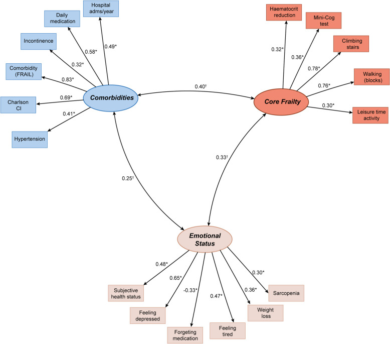 In search of a characterisation of frailty: applying exploratory factor analysis to ageing preoperative patients : Cross-sectional study.