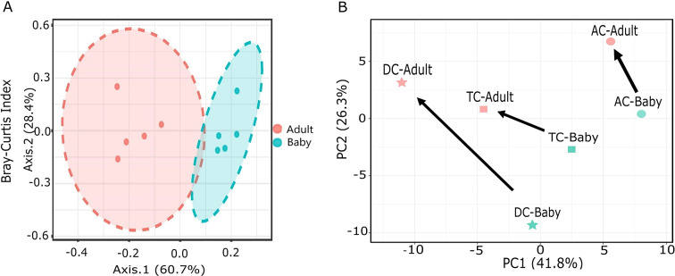 The effect of dietary transition on infant microbiota composition and metabolic activity captured with the simulator of the human intestinal microbial ecosystem (SHIME).