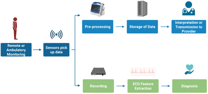 Wearable Technology in Cardiology: Advancements, Applications, and Future Prospects.