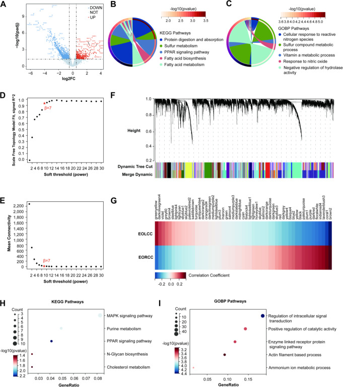 Integrated muti-omics data and machine learning reveal CD151 as a key biomarker inducing chemoresistance in metabolic syndrome-related early-onset left-sided colorectal cancer.