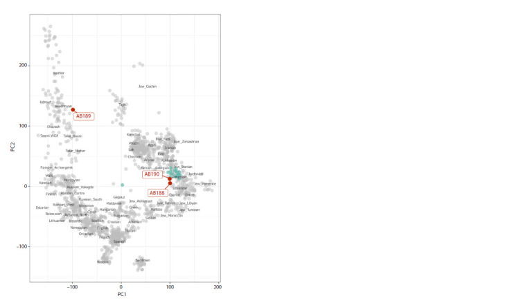 Great Bolgar's historical genetics: a genomic study of individuals from burials close to the Greek Chamber in the 14th century.