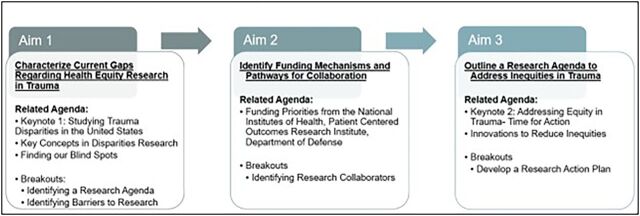 Access, delivery and outcomes: the summit on the advancement of Focused Equity Research in Trauma (SAFER-Trauma).