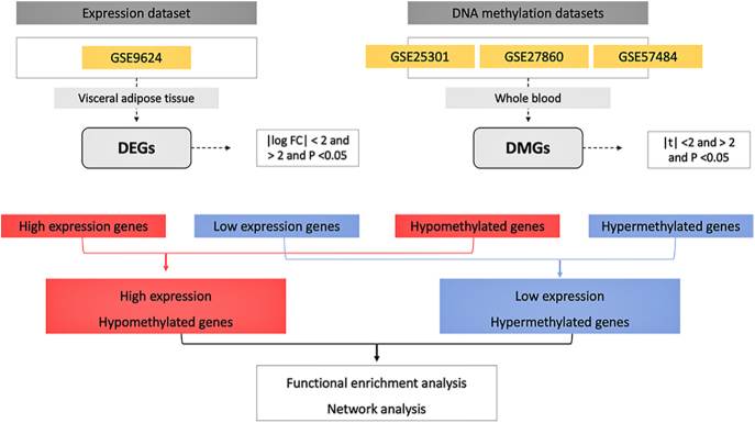 Network insights into childhood obesity: unveiling methylated-differentially expressed genes and pathways through integrative bioinformatics analysis.