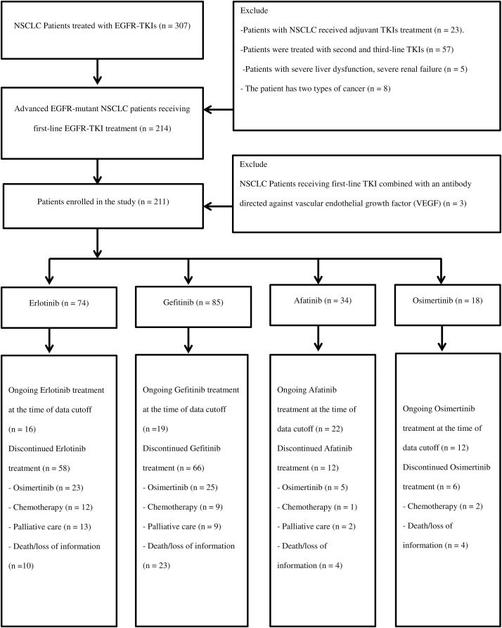 Tyrosine kinase inhibitors in first-line treatment of advanced NSCLC with epidermal growth factor receptor mutations: Real-world data from Vietnam.