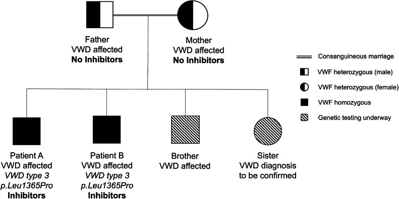 von Willebrand Factor (VWF) Inhibitors in Two Brothers with von Willebrand Disease: A Case Report.