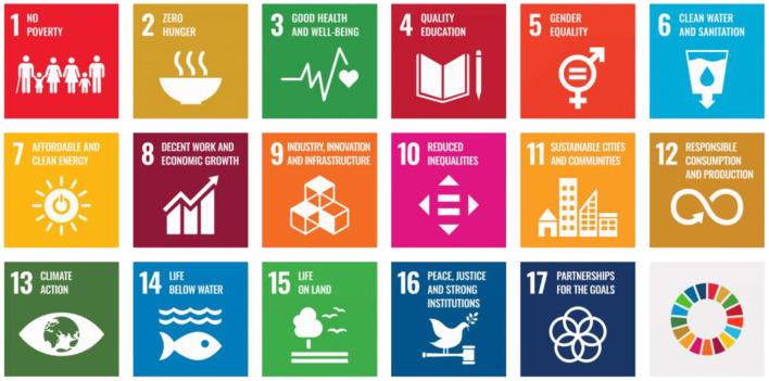 Data visualization of complex research systems aligned with the sustainable development goals.