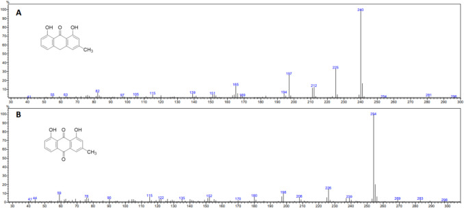 Potential feeding deterrents of Adelges tsugae found in biological control flies.