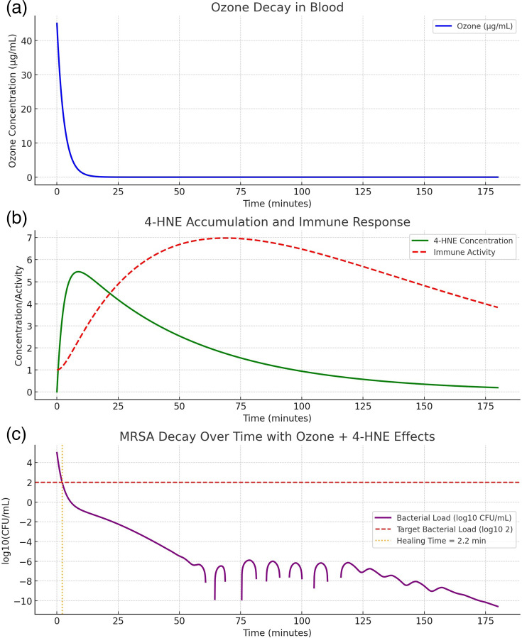 The ability of ozone to counteract multidrug-resistant bacteria if used as an adjunct therapy: a bioinformatic modelling.