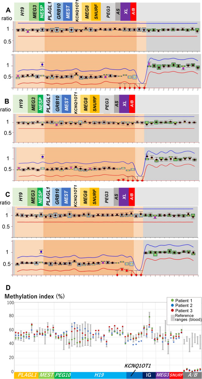Multi-locus methylation analyses reveal GNAS methylation defects in three patients with the Beckwith-Wiedemann syndrome phenotype and no molecular defects in the 11p15.5 imprinted region.