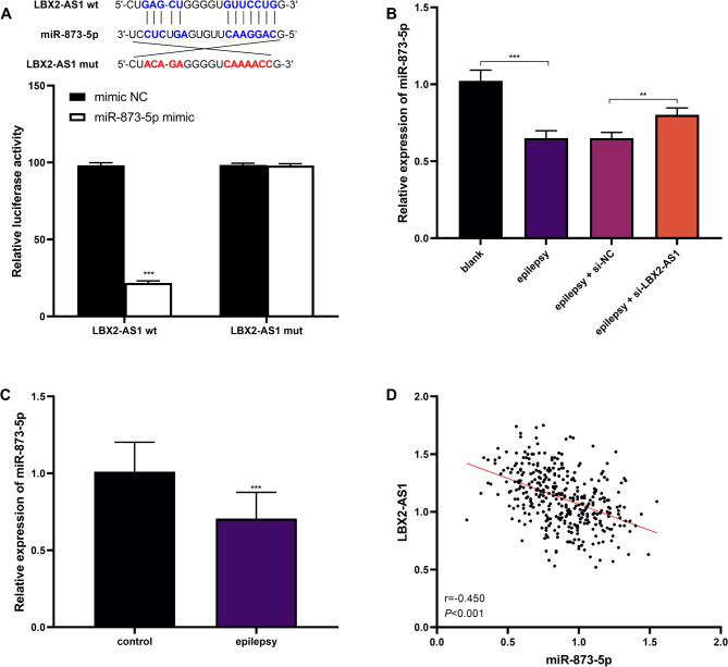 The dysregulation and regulatory mechanism of long non-coding RNA LBX2-AS1 in children with epilepsy.