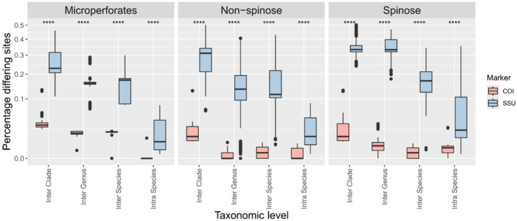 Exploring the potential of the COI gene marker for DNA barcoding of planktonic foraminifera.
