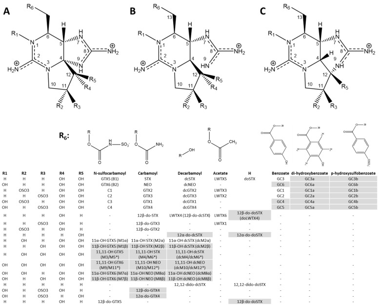 A Fresh Perspective on Cyanobacterial Paralytic Shellfish Poisoning Toxins: History, Methodology, and Toxicology.