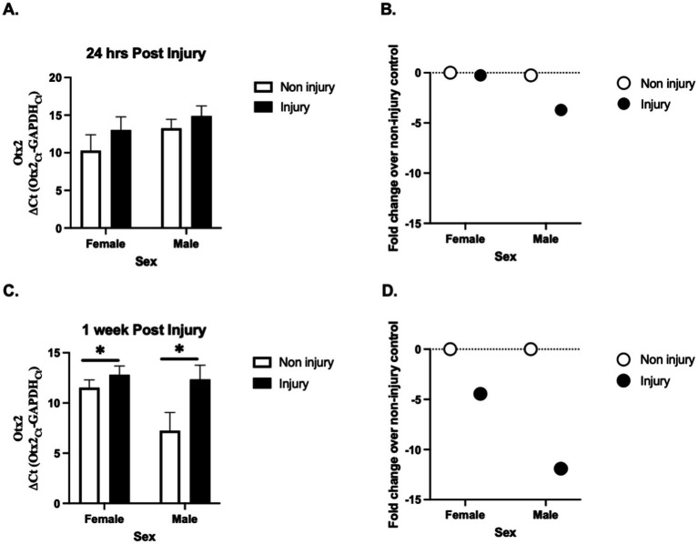 <i>Otx2</i> mRNA expression is downregulated following traumatic brain injury in zebra finches.
