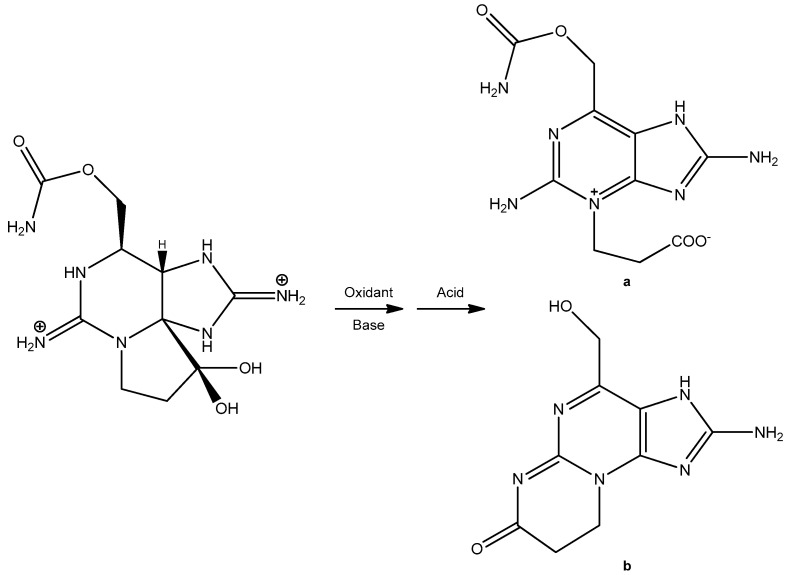 A Fresh Perspective on Cyanobacterial Paralytic Shellfish Poisoning Toxins: History, Methodology, and Toxicology.