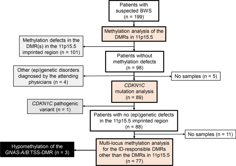 Multi-locus methylation analyses reveal GNAS methylation defects in three patients with the Beckwith-Wiedemann syndrome phenotype and no molecular defects in the 11p15.5 imprinted region.