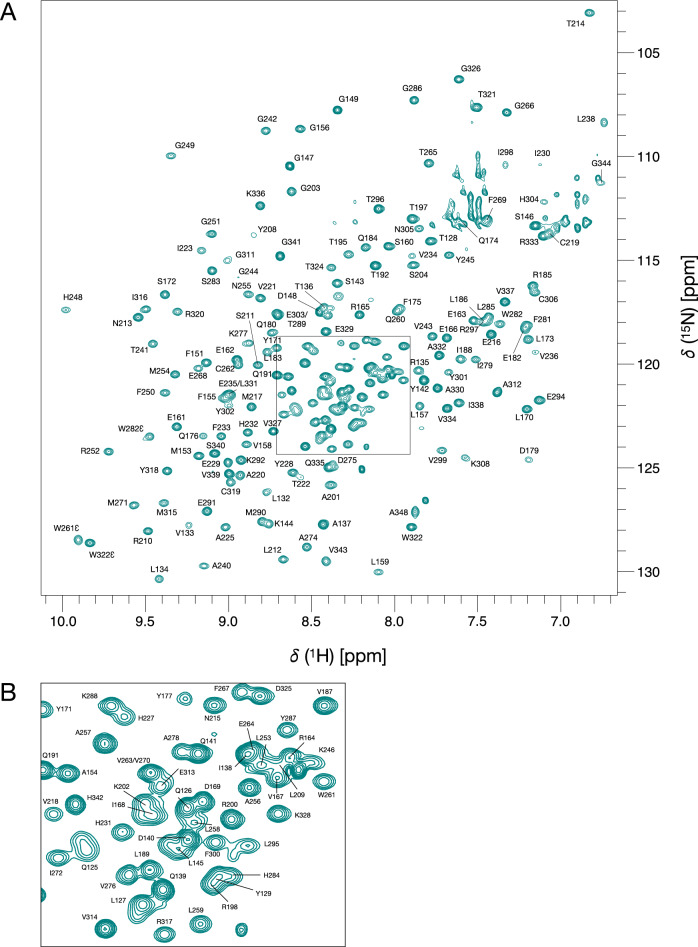 1H, 13C and 15N resonance assignments for the acetyltransferase domain of the kinetoplastid kinetochore protein KKT23 from Trypanosoma brucei