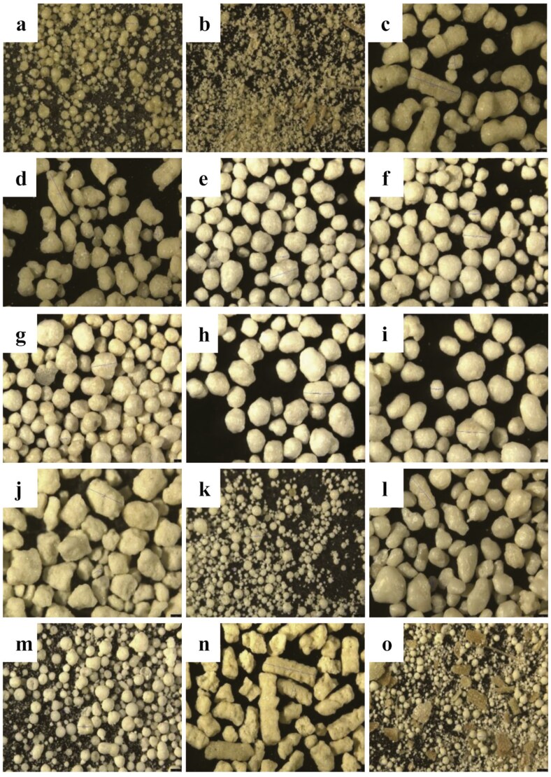 Effects of coating on recovery of <i>Escherichia coli</i>-derived phytase under different steam pelleting conditions.
