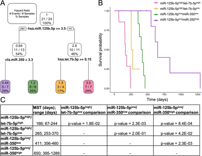 Classification and Prognostication of B-Cell and T-Cell Multicentric Lymphoma in Dogs Using Serum MicroRNAs.