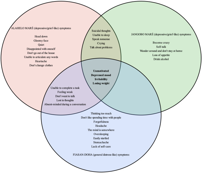 Cultural adaptation and psychometric properties of the 8-item Patient Health Questionnaire (PHQ-8) to screen for depression in southwestern Madagascar.