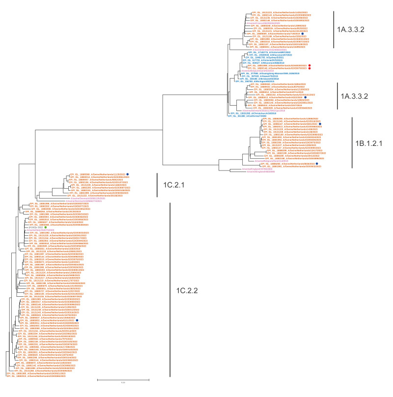 Swine influenza virus surveillance programme pilot to assess the risk for animal and public health, the Netherlands, 2022 to 2023.