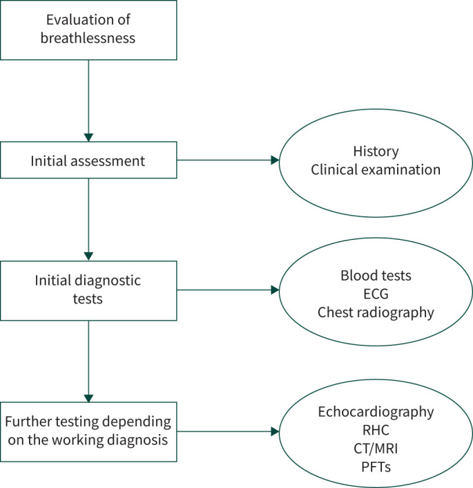 Assessment of breathlessness: a cardiologist's perspective.