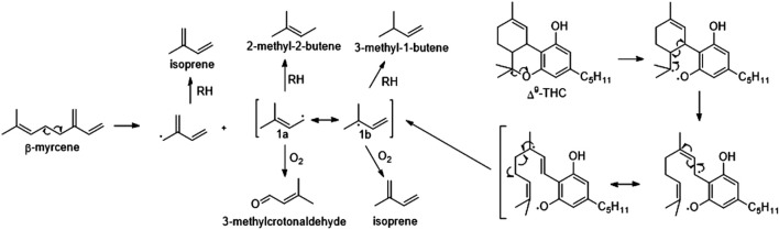 Cannabis concentrate vaping chemistry.