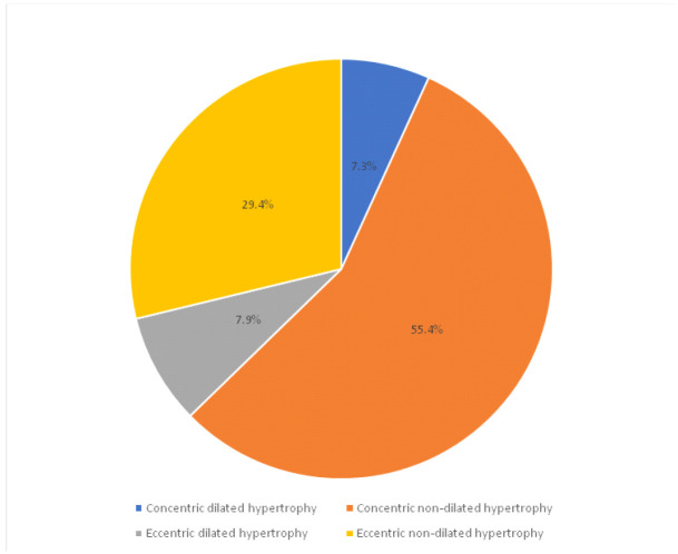 Left Ventricular Geometry and Left Ventricular Hypertrophy Phenotype in Newly Diagnosed Hypertension in North-eastern Nigeria.